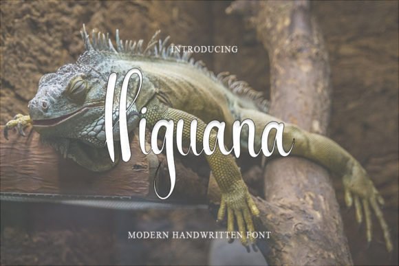 Higuana Font - Featured Image