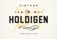 Holdigen Font - Featured Image