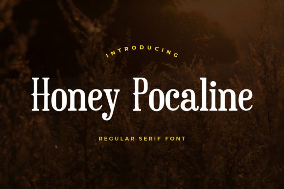 Honey Pocaline Font - Featured Image