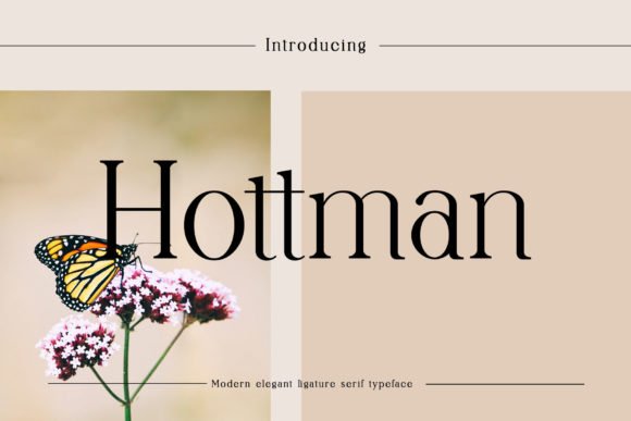 Hottman Font - Featured Image
