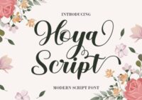 Hoya Script Font - Featured Image