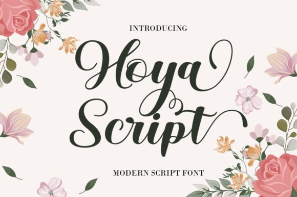 Hoya Script Font - Featured Image