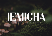 Jemicha Font - Featured Image