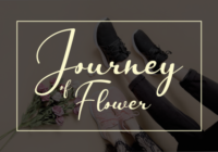 Journey of Flower Font - Featured Image
