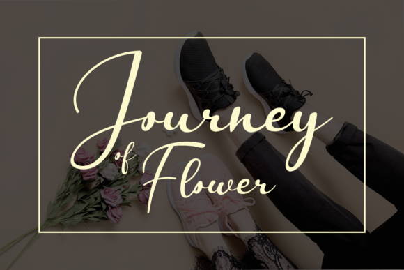 Journey of Flower Font - Featured Image