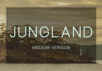 Jungland Medium Font - Featured Image