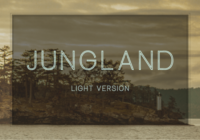 Jungland Outline Light Font - Featured Image