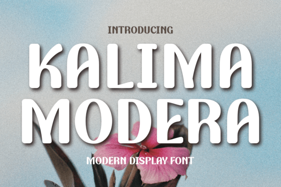 Kalima Modera Font - Featured Image