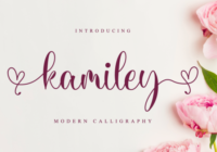 Kamiley Font - Featured Image