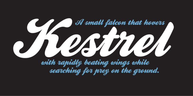 Kestrel Script Font - Featured Image