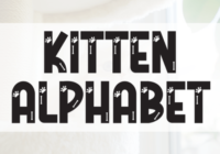 Kitten Alphabet Font - Featured Image