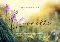 Lannolli Font - Featured Image