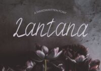 Lantana Font - Featured Image