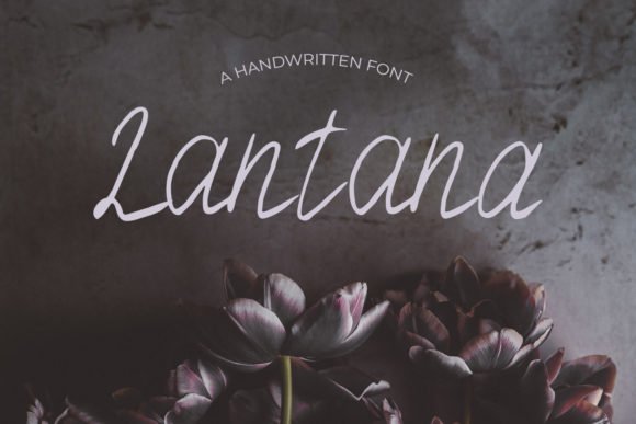 Lantana Font - Featured Image