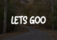 Lets Goo Font - Featured Image