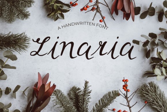 Linaria Font - Featured Image
