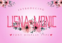Lisna Monic Font - Featured Image