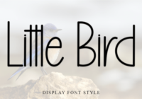 Little Bird Font - Featured Image