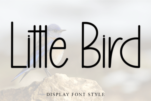 Little Bird Font - Featured Image