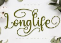 Longlife Font - Featured Image