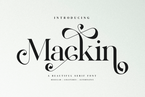 Mackin Font - Featured Image