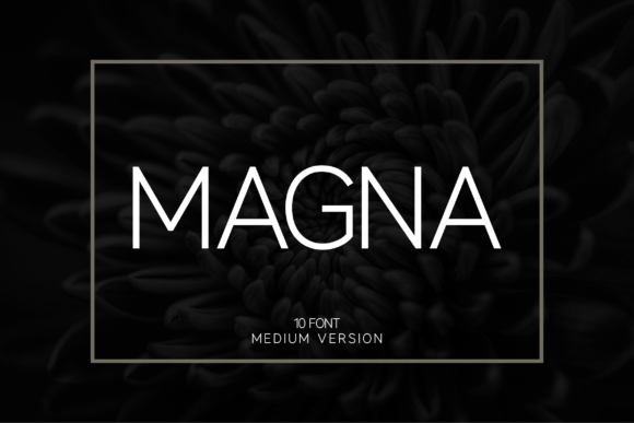 Magna Medium Font - Featured Image