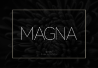 Magna Thin Font - Featured Image
