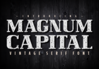 Magnum Capital Font - Featured Image