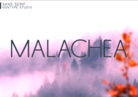 Malachea Font - Featured Image