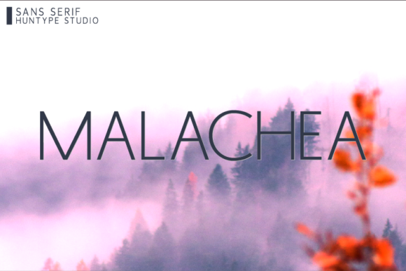Malachea Font - Featured Image
