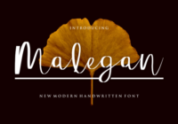 Malegan Font - Featured Image