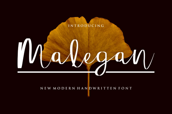 Malegan Font - Featured Image