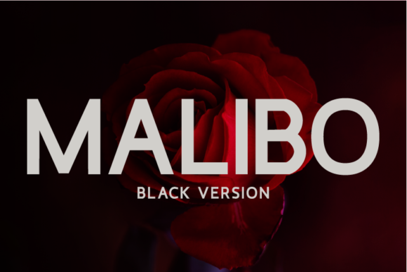 Malibo Black Font - Featured Image