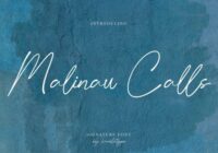 Malinau Calls Font - Featured Image