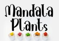 Mandala Plants Font - Featured Image