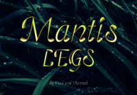 Mantis Legs Font - Featured Image