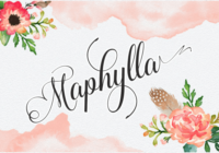 Maphylla Font - Featured Image