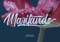 Marilands Font - Featured Image