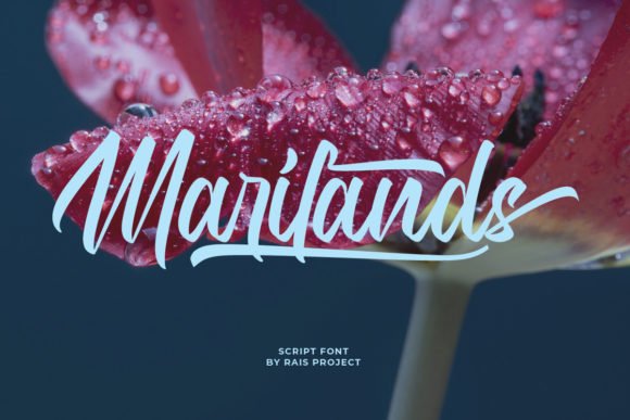 Marilands Font - Featured Image