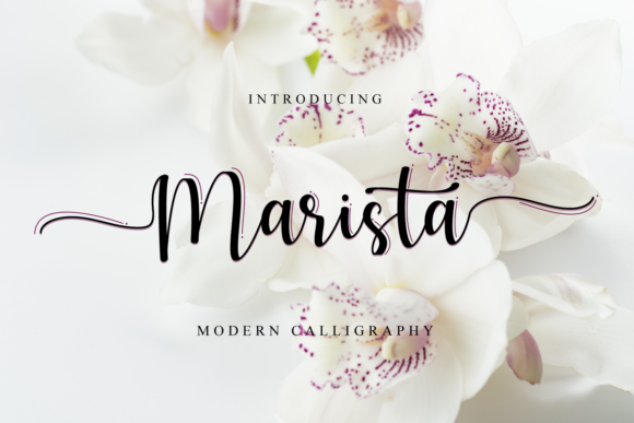 Marista Font - Featured Image