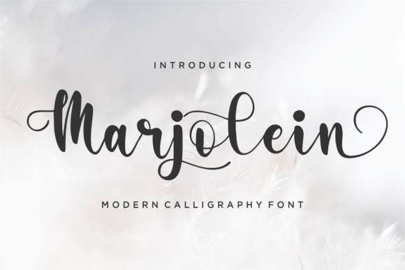 Marjolein Font - Featured Image