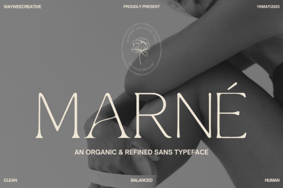 Marne Font - Featured Image