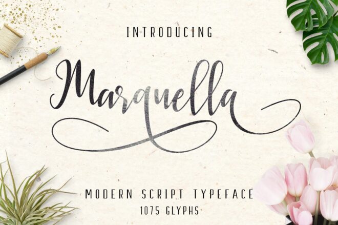 Marquella Font - Featured Image
