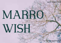 Marrowish Font - Featured Image