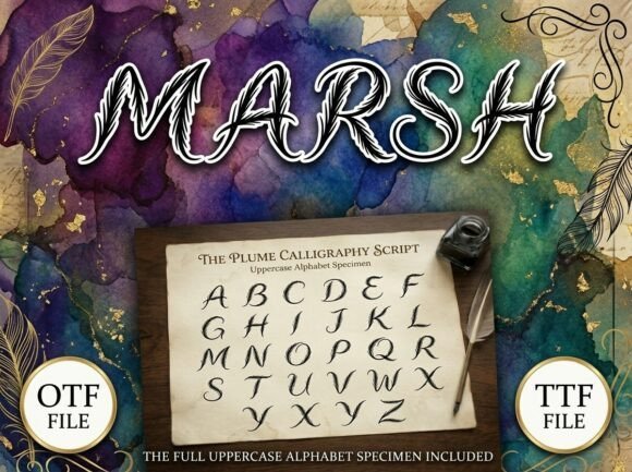 Marsh Font - Featured Image
