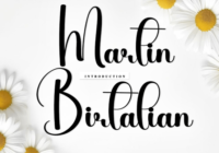 Martin Birtalian Font - Featured Image