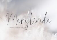 Marylinda Font - Featured Image