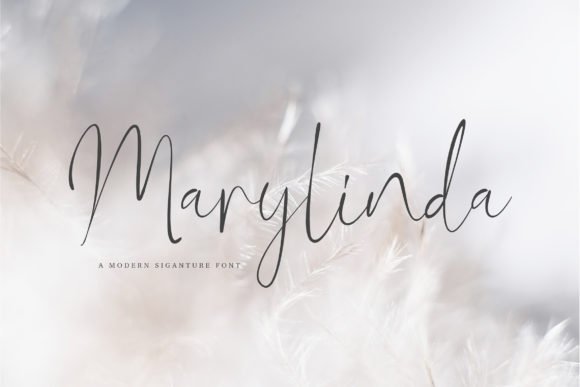 Marylinda Font - Featured Image