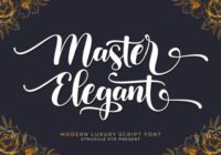 Master Elegant Font - Featured Image