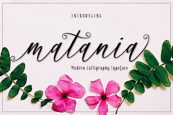 Matania Script Font - Featured Image